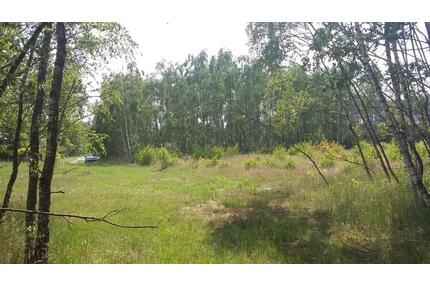 Grundstück für Tiny House Mobilheim in Wochenendhausgebiet - Wittingen Knesebeck