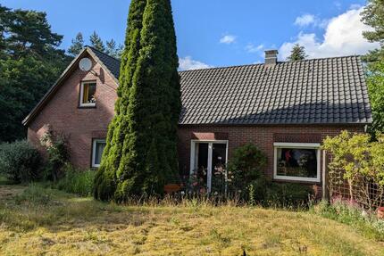 Traumhaus mitten im Waldgebiet Hollesand, Uplengen