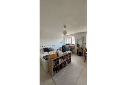 Wohnung zum Mieten in Gießen 380,00 € 33 m²
