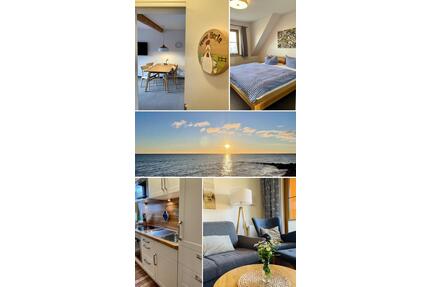 Bauernhof Ostsee Kinder Fehmarn Sommer Juni Urlaub mit Hund