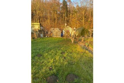 Kleingarten - 4.000,00&nbsp;EUR Kaltmiete, ca.&nbsp; 0,00&nbsp;m&sup2; in Rostock (PLZ: 18057) Hansaviertel