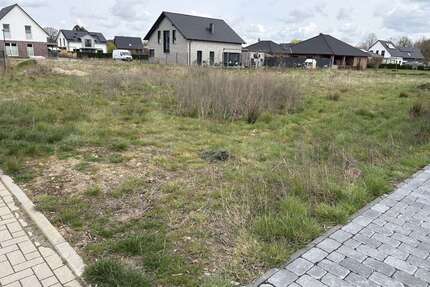 Haus zum Kaufen in Langlingen 327.500,00 € 166 m²
