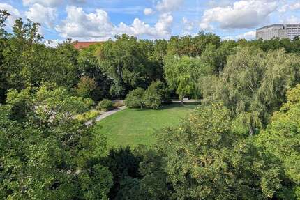 Wohnung zum Kaufen in Kassel 389.000,00 € 167 m²
