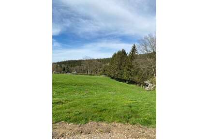 Grundstück zu verkaufen in Roetgen Rott 649.000,00 € 4189 m² - Roetgen / Rott