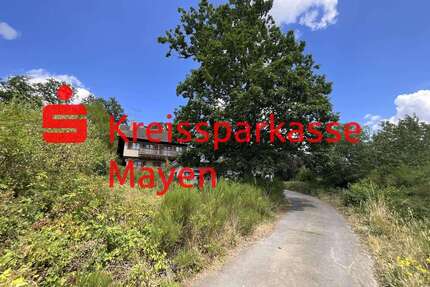 Haus zum Kaufen in Kempenich 950.000,00 € 334 m²