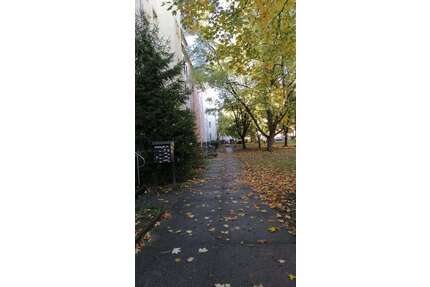 Wohnung zum Mieten in Dresden 390,00 € 54.1 m²