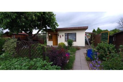 Kleingarten Pachtgarten im KGV 