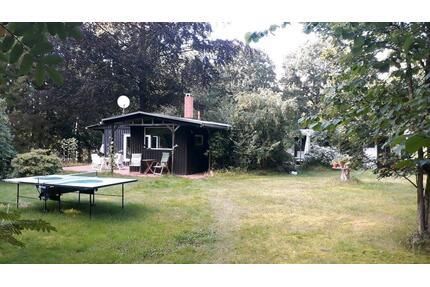 Haus im Grünen - 239.000,00&nbsp;EUR Kaufpreis, ca.&nbsp; 120,00&nbsp;m&sup2; in Felde (PLZ: 24242)