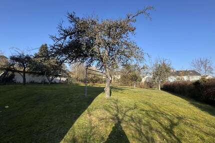 Wohnung zum Mieten in Würzburg 1.750,00 € 100 m²