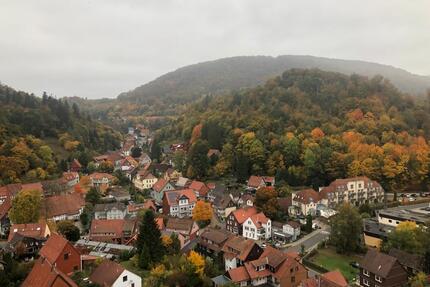 Harz Urlaub Ferienwohnung Apartment - Bad Grund (Harz)