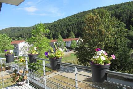 Sonnige 4 Zi. Wohnung 1.OG mit 2 Bäder in Immendingen
