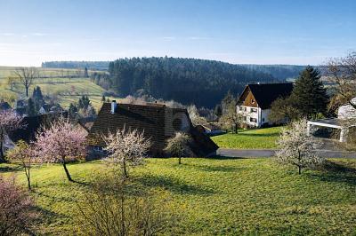 IHR ZUHAUSE ZWISCHEN APFELBÄUMEN - Alpirsbach