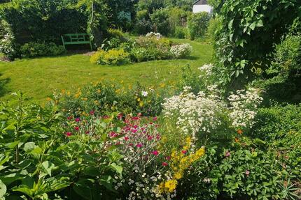 Gepflegten Pachtgarten mit Bungalow in Cottbus