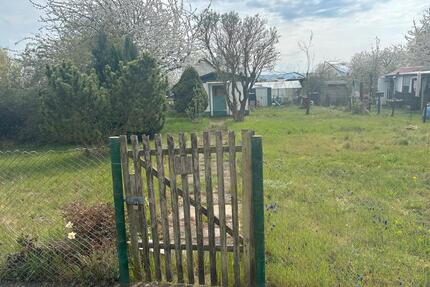 Pachtgarten, Kleingarten - 400,00&nbsp;EUR Kaltmiete, ca.&nbsp; 0,00&nbsp;m&sup2; in Mühlhausen (Thüringen) (PLZ: 99974)