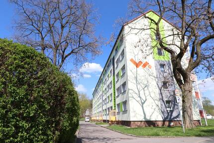 Geräumige, helle 2-Raum-Wohnung mit Balkon und Blick über Park - Flöha