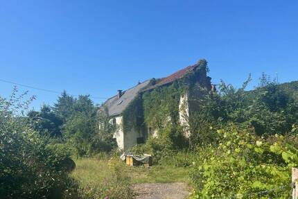 Großes schön gelegenes Grundtsück nahe an der Prims in Wadern-Büschfeld zu verkaufen