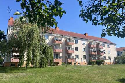 Wohnung zum Mieten in Lutherstadt Wittenberg 315,00 € 61 m²