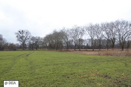 AUKTION - Landwirtschaftsflächen in unmittelbarer Nähe zur Bahnlinie - Burg