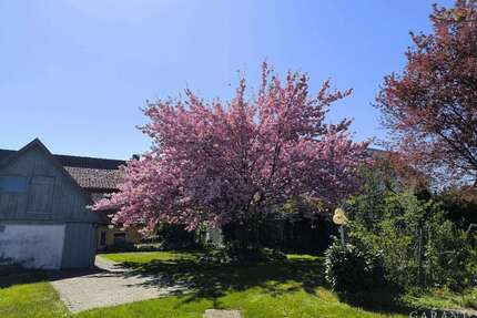 Haus zum Kaufen in Empfingen 680.000,00 € 283 m²