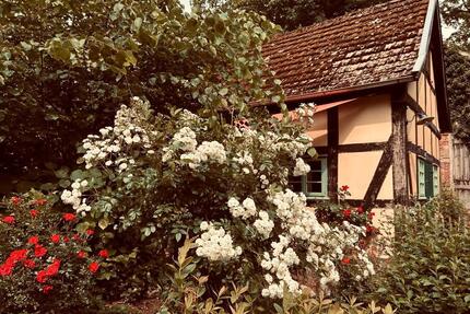 Idyllisches Ferienhaus Nähe Dümmer See | Auszeit | Sauna | Natur - Barnstorf