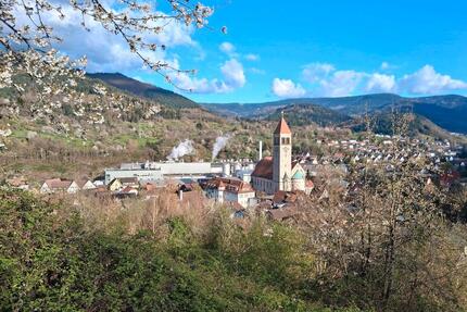 wiesen grundstueck zu verpachten...in obertsrot - Gaggenau
