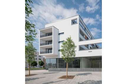 Wohnung zum Mieten in Offenbach 2.100,00 € 159 m²