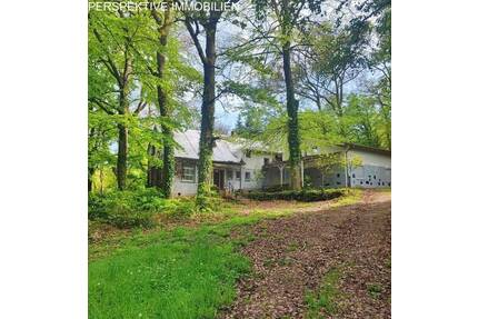 Ideal für Individualisten - Anwesen in völliger Alleinlage - Reichelsheim