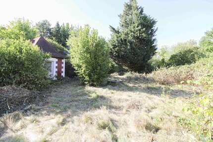 Grundstück zu verkaufen in Leipzig 339.000,00 € 1630 m²