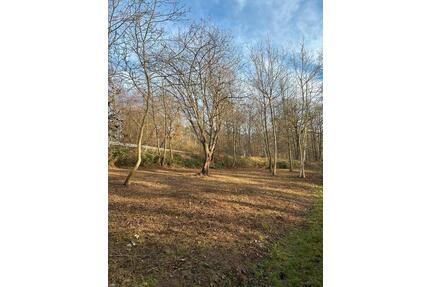 Grundstück in Groß Umstadt OT zu verpachten - Groß-Umstadt