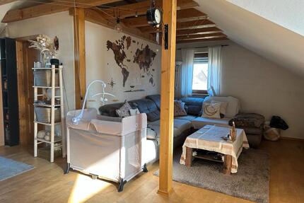 Helle DG-Wohnung mit Einbauküche & Klimaanlage - Ludwigshafen am Rhein Rheingönheim