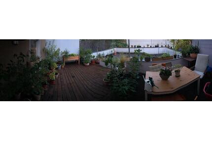 Zwischenmiete August 2026-Dezember 2026 - Köln Nippes