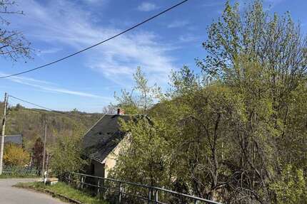 Haus zum Kaufen in Glashütte 29.900,00 € 85 m²