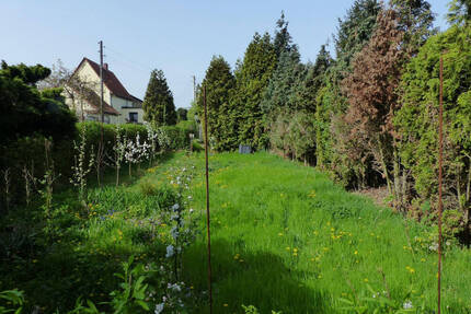 Grundstück in Riesa zu verkaufen - Gemarkung Gröba