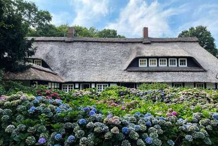 Haus zum Kaufen in Wildeshausen 2.400.000,00 € 700 m²