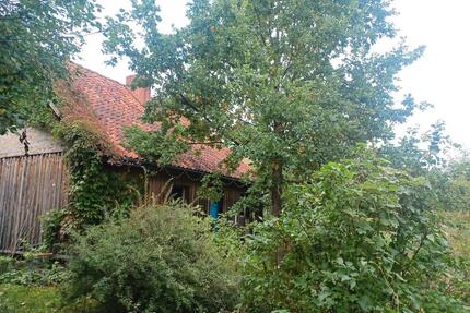 Grundstück mit Haus - 240.000,00&nbsp;EUR Kaufpreis, ca.&nbsp; 80,00&nbsp;m&sup2; in Blankensee (PLZ: 17237)