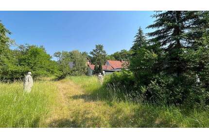 Bebautes Grundstück zum selbst verwirklichen in der Dübener Heide! - Kemberg Gniest