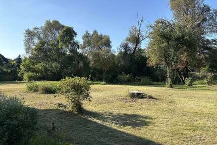 Grundstück zu verkaufen in Halbe 249.000,00 € 5535 m²