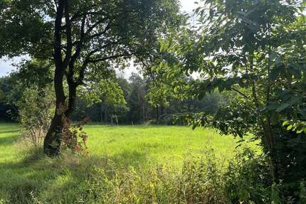 Grundstück zu verkaufen in Rehburg-Loccum 140.000,00 € 2264 m²