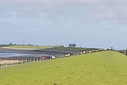 Norddeich-Nordsee Ferienwohnung direkt hinter dem Deich!!!!FREI!! - Norden