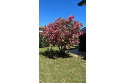 Traunhaft schönes Villa in Venetien - Frickenhausen