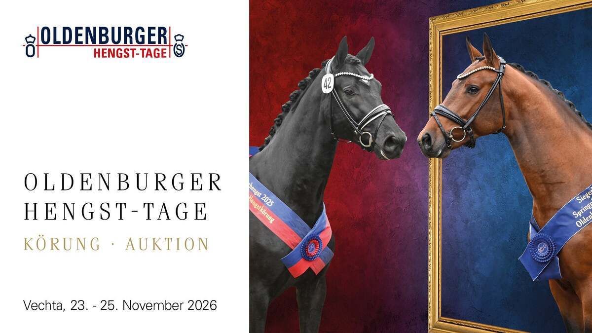 Oldenburger Hengst-Tage