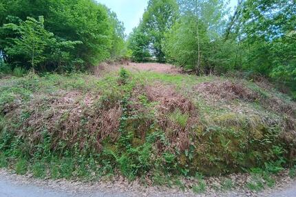 Idyllisch & Naturbelassen: Waldgrundstück nahe Baden-Baden - Forbach