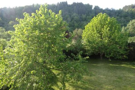 4-Zimmerwohnung mit Ausblick in Wertheim- Waldenhausen