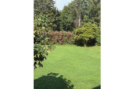 Grundstück zu verkaufen in Leipzig 209.000,00 € 800 m²