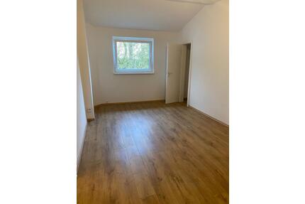 1 Raum Wohnung, DB, 30 qm, Gartennutzung, Ölberg. Ekkehardstr - Wuppertal Elberfeld