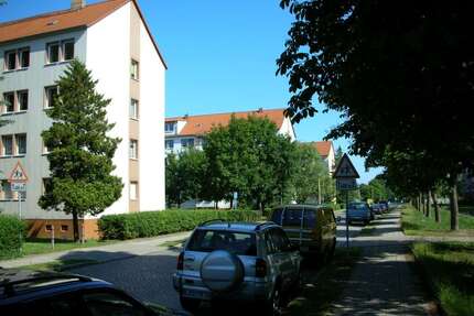 Wohnung zum Mieten in Lübben (Spreewald) 311,18 € 46.1 m²