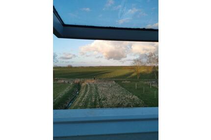 1Raumwohnung bei zwischen Demmin, Neubrandenburg und Altentreptow - Rosenow