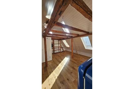 frisch saniertes, helles 1-Zimmer-Apartmentment Leonberg-Eltingen - Renningen