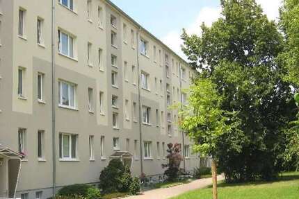 Wohnung zum Mieten in Wurzen 310,00 € 46 m²