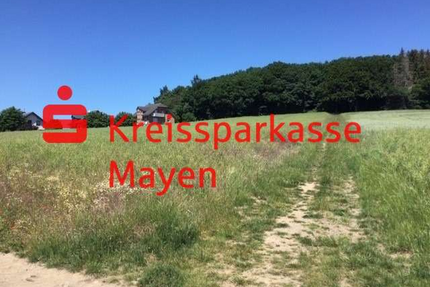Grundstück zu verkaufen in Mayen 96.000,00 € 384 m²